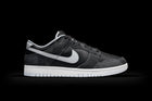Nike Dunk Low Retro Animal Pack Zebra
