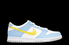 Nike Dunk Low Next Nature Homer Simpson (GS)