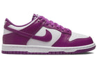 Nike Dunk Low Viotech (GS)