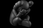 KAWS Separated Vinyl Figure Black