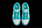 Nike Dunk Low Next Nature Dusty Cactus (Women's)